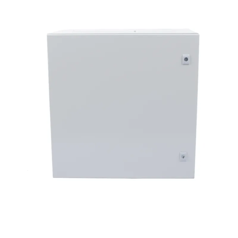 Gabinete de Acero IP66 Uso en Intemperie (600 x 600 x 300 mm) con Placa Trasera Interior Metálica y Compuerta Inferior Atornillable (Incluye Chapa y Llave T).