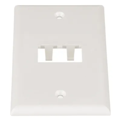Placa de Pared Vertical Clásica, Salida Para 2 Puertos Mini-Com, Color Blanco Mate