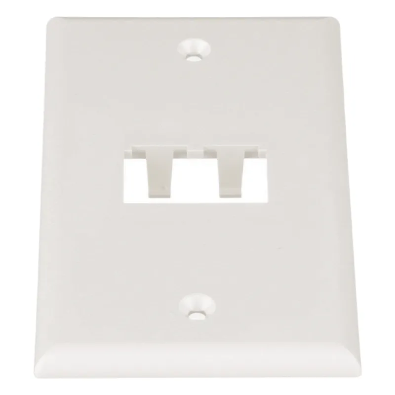 Placa de Pared Vertical Clásica, Salida Para 2 Puertos Mini-Com, Color Blanco Mate