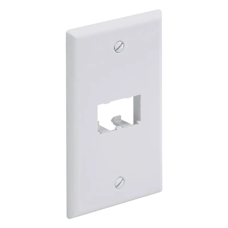 Placa de Pared Vertical Clásica, Salida Para 2 Puertos Mini-Com, Color Blanco