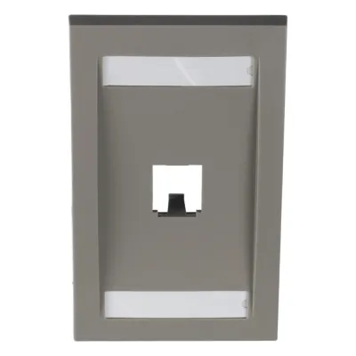 Placa de Pared Vertical Ejecutiva, Salida Para 1 Puerto Mini-Com, Con Espacios Para Etiquetas, Color Gris