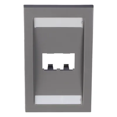 Placa de Pared Vertical Ejecutiva, Salida Para 2 Puertos Mini-Com, Con Espacios Para Etiquetas, Color Gris