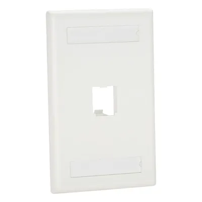 Placa de Pared Vertical Clásica, Salida Para 1 Puerto Mini-Com, Con Espacios Para Etiquetas, Color Blanco Mate