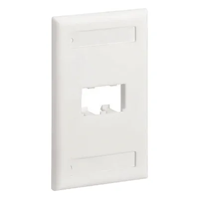 Placa de Pared Vertical Clásica, Salida Para 2 Puertos Mini-Com, Con Espacios Para Etiquetas, Color Blanco Mate