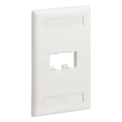 Placa de Pared Vertical Clásica, Salida Para 2 Puertos Mini-Com, Con Espacios Para Etiquetas, Color Blanco