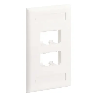 Placa de Pared Vertical Clásica, Salida Para 4 Puertos Mini-Com, Con Espacios Para Etiquetas, Color Blanco Mate