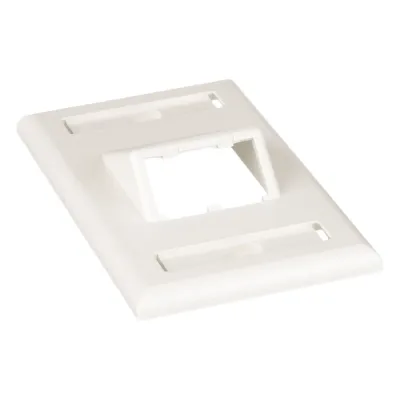 Placa de Pared Vertical Clásica, Salida Para 2 Puertos Mini-Com Inclinados, Con Espacios Para Etiquetas, Color Blanco Mate