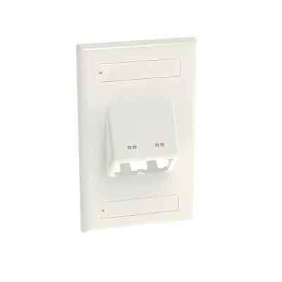 Placa de Pared Vertical Clásica, Salida Para 2 Puertos Mini-Com Inclinados, Con Espacios Para Etiquetas, Color Blanco