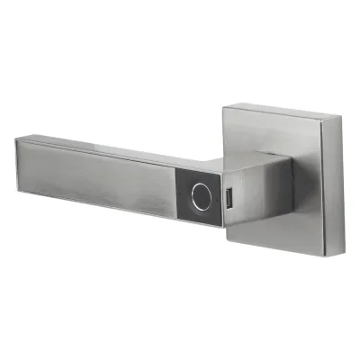 Manija Castelli Biométrica/ Niquel Satinado / 30 usuarios / Para Puerta Izq o Derecha de 60-70mm