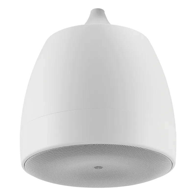 Altavoz Colgante Comercial | 6.5 in | 2 Vias | 300w | 8 Ohms | 70v/100v | Blanco