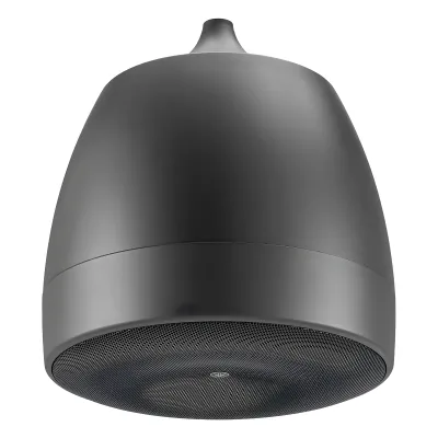 Altavoz Colgante Comercial | 6.5 in | 2 Vias, 300w | 8 Ohms | 70v/100v | Negro