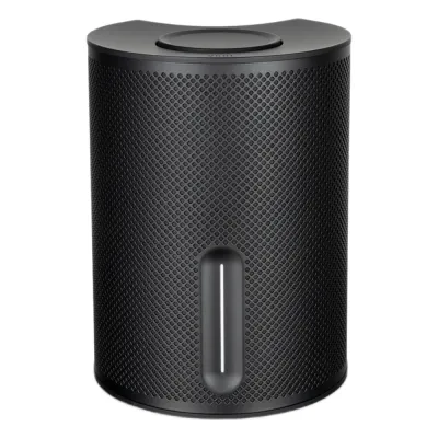 SerieSX Altavoz Activo | Certificado Dolby DTS | Native Streaming™ | Wireless Syncs 5.1 System |