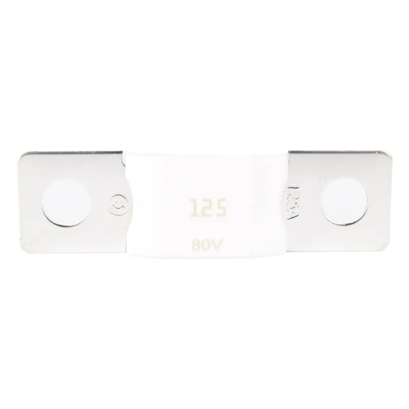 Mega Fuse 125A / 80V