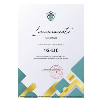 Licencia Perpetua para aumentar en 1Gb el análisis de trafico, Firewall modelo Z5100 series