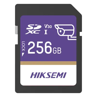 Tarjeta SD GuardPro P10 / 256 GB / 100 MB/s Lectura / 90 MB/s Escritura / Clase 10 U3 V30 / 3D TLC NAND / Especializada Para Videovigilancia 24/7