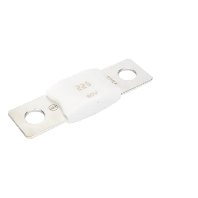 Mega Fuse 225A / 80V