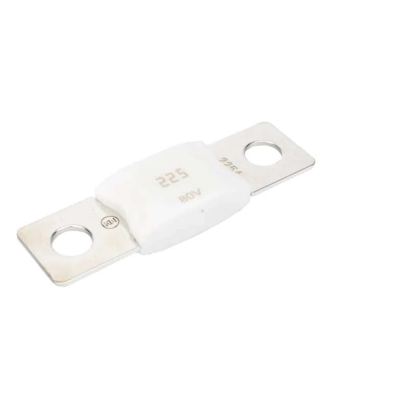 Mega Fuse 225A / 80V