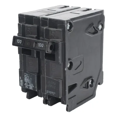 Interruptor automático enchufable tipo QP 2 polos, 100 amp