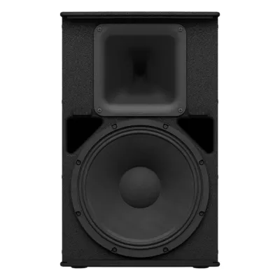 Altavoz Pasivo de 2 vias | Woofer 12'' | 8ohms | Color Negro | 500W | Gabinete de Madera