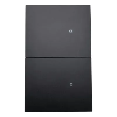 Apagador inalámbrico ZigBee 110-220V 2 GANG