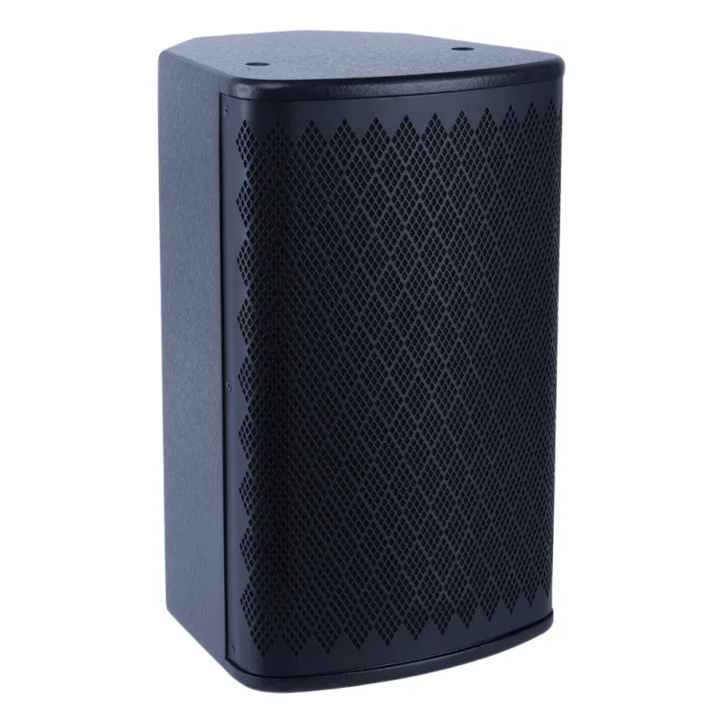 Altavoz Profesional de Sonido EP-606A | 100W RMS 400W Pico | 6.5" Woofer + 3" Tweeter | Respuesta 90Hz-20KHz | Cobertura 110°×80° | Gabinete MDF | Instalación Multipunto