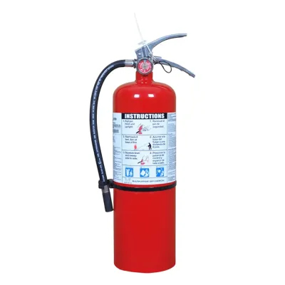 Extintor de polvo químico seco, capacidad 10 libras (4.53 Kg), listado UL.