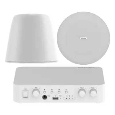 Kit de amplificador compatible con Spotify | Bluetooth | 2 Altavoces Colgantes | sistema 100v | 2 canales con control de volumen independiente | música ambiental
