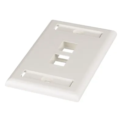 Placa de Pared NetKey Vertical, Salida Para 2 Puertos Keystone, Con Espacios Para Etiquetas, Color Blanco Mate