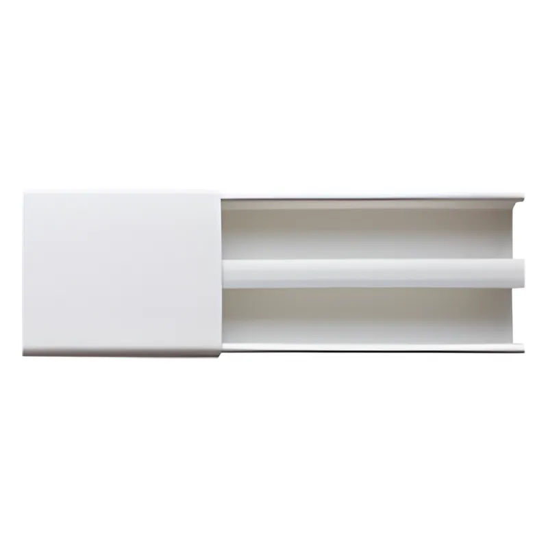 Canaleta blanca dos vías, de PVC auto extinguible, 48 x 16 x tramo 2.5m (6101-01250)