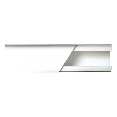 Canaleta color blanco de PVC auto extinguible de una vía, 20 x 17 tramo 2.5m (5201-01250)