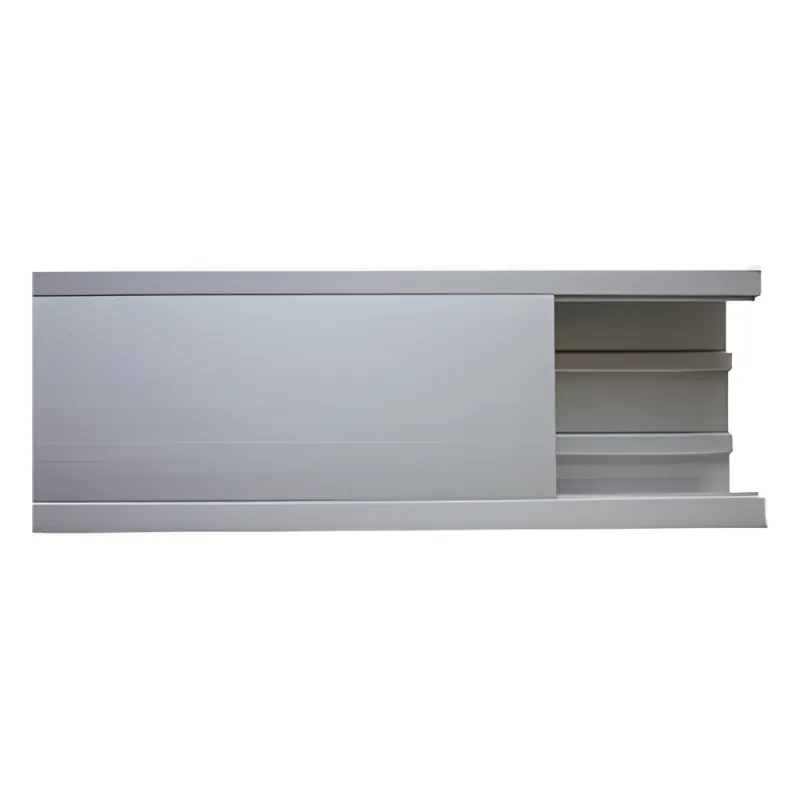 Canaleta de aluminio, 100 x 51 mm, tramo de 3m. (8401-81300)