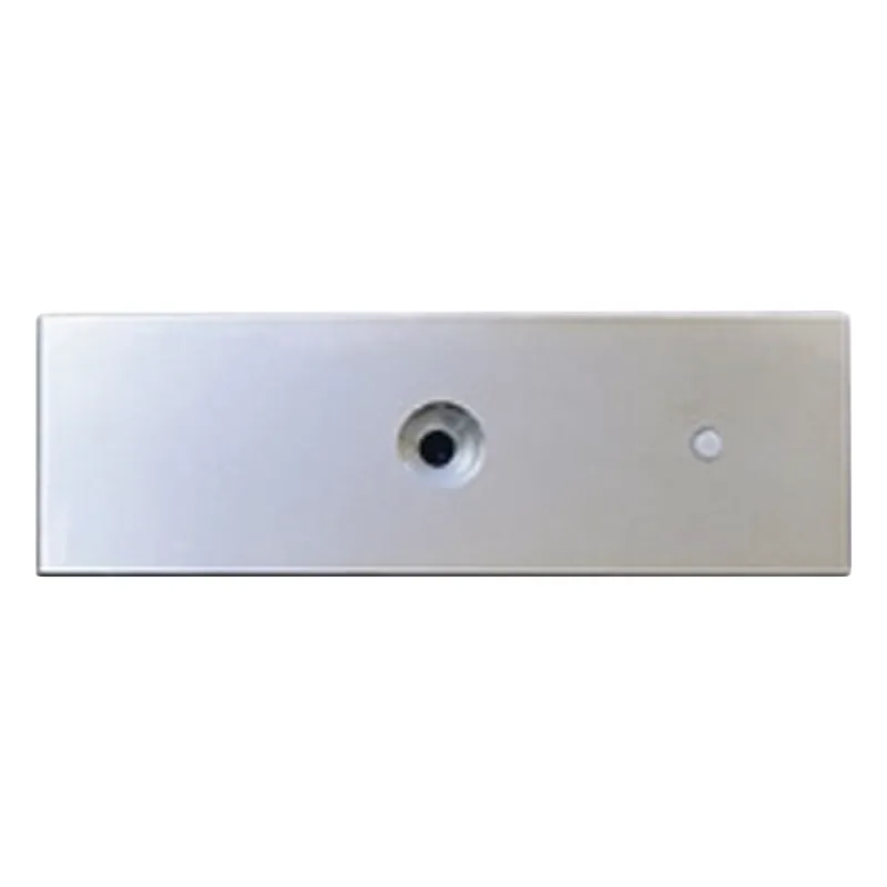 Refacción: Placa para chapa magnética MAG1200, MAG1200LED , No incluye tornilleria
