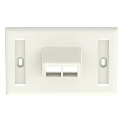 Placa de Pared NetKey Horizontal, Salida Para 2 Puertos Keystone, Con Espacios Para Etiquetas, Color Blanco Mate