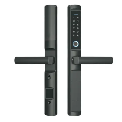 Cerradura inteligente inalámbrica ZigBee. IP65, compatible con pantallas Akubela