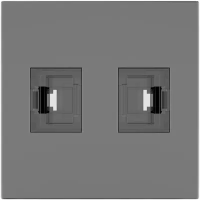 Módulo Pasivo TBUS / 2 Puertos RJ45 Passthrough / Entrada y Salida 2 Hembras / Color Negro Grafito RAL 9011