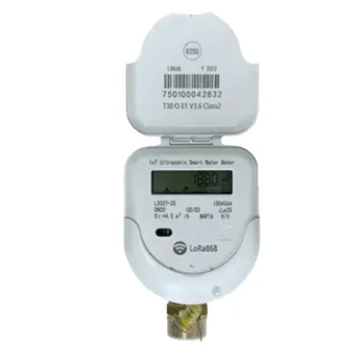 Medidor Ultrasónico de Agua LoRaWAN / 1 Pulgada / Smart Metering y Telemetría para BMS / Válvula Integrada / IP68 / Bidireccional / LCD 9 Dígitos