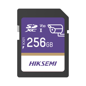 Memoria SD Clase 10 de 256 GB / Especializada Para Videovigilancia