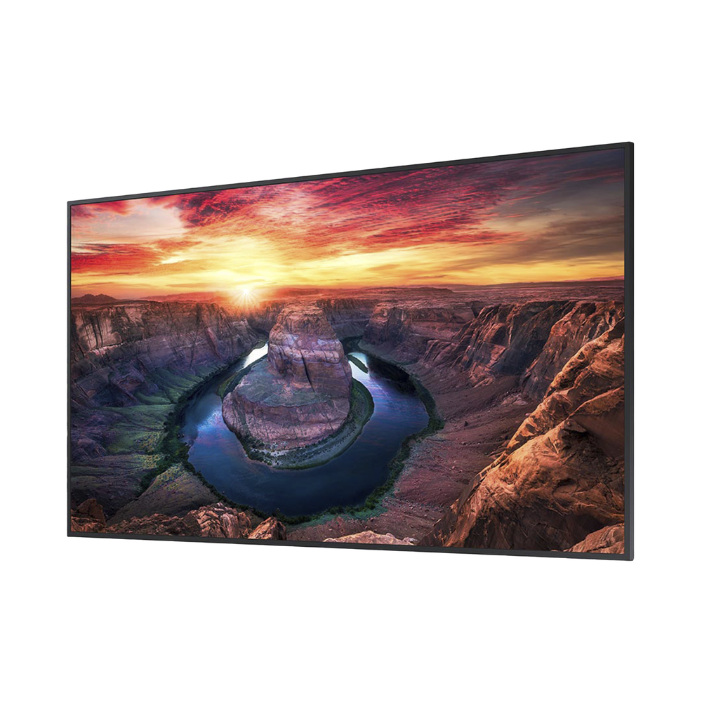 Pantalla Profesional LED de 65", UHD 4K (3840x2160p), Entradas de Video HDMI/DisplayPort, Bocinas Integradas de 10 W. Compatible VESA. Modo de Simulación DICOM - Image 2